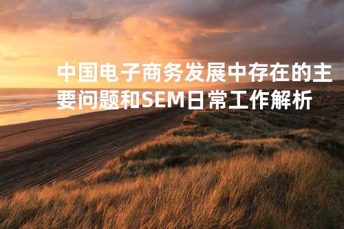 中国电子商务发展中存在的主要问题和 SEM 日常工作解析