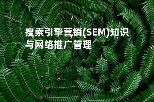 搜索引擎营销 (SEM) 知识与网络推广管理